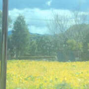 ヒメ日記 2025/10/19 21:25 投稿 かりん バイオレンス