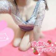 ヒメ日記 2024/12/29 08:05 投稿 とわ アメリカンクリスタル