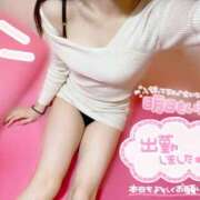 ヒメ日記 2025/06/04 07:35 投稿 とわ アメリカンクリスタル