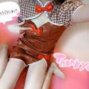 とわ 今年最後の? アメリカンクリスタル