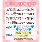 ヒメ日記 2025/03/12 11:10 投稿 なな モアグループ小山人妻花壇