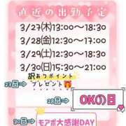 ヒメ日記 2025/03/26 19:00 投稿 なな モアグループ小山人妻花壇