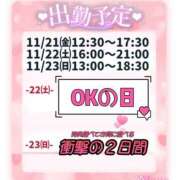 ヒメ日記 2025/11/20 20:00 投稿 なな モアグループ小山人妻花壇