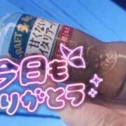 ヒメ日記 2026/05/17 11:00 投稿 なな モアグループ小山人妻花壇