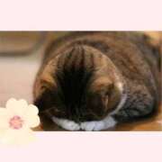 ヒメ日記 2025/06/29 09:16 投稿 ゆり 太田人妻城