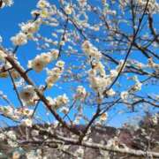 ヒメ日記 2025/03/14 20:02 投稿 あおい 甘い恋人　所沢店