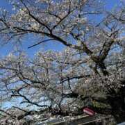 ヒメ日記 2025/04/04 20:10 投稿 あおい 甘い恋人　所沢店