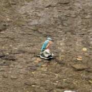 ヒメ日記 2025/10/27 12:33 投稿 あおい 甘い恋人　所沢店