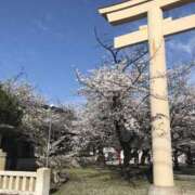 ヒメ日記 2026/04/14 08:15 投稿 ともこ 奥様の実話 谷九店