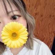 ヒメ日記 2026/02/06 16:03 投稿 福島 鶯谷人妻城