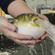 ヒメ日記 2025/10/08 00:02 投稿 カヲル クラブ貴公子