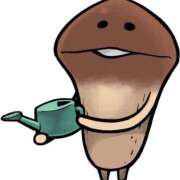 ヒメ日記 2026/03/14 16:09 投稿 カヲル クラブ貴公子