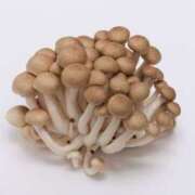 ヒメ日記 2026/03/18 00:01 投稿 カヲル クラブ貴公子