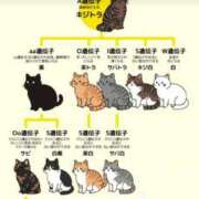 ヒメ日記 2026/03/18 17:20 投稿 カヲル クラブ貴公子