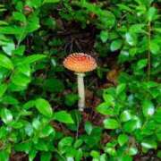 ヒメ日記 2026/03/26 00:00 投稿 カヲル クラブ貴公子