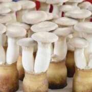 ヒメ日記 2026/04/07 22:47 投稿 カヲル クラブ貴公子