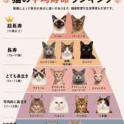 ヒメ日記 2026/06/07 13:09 投稿 カヲル クラブ貴公子