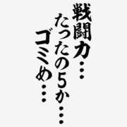 ヒメ日記 2026/06/23 00:00 投稿 カヲル クラブ貴公子