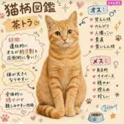 ヒメ日記 2026/08/12 00:00 投稿 カヲル クラブ貴公子