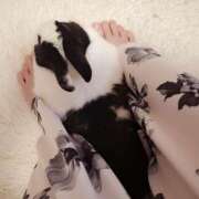 ヒメ日記 2025/03/22 16:10 投稿 ひなこ 南大阪回春性感エステオールスターズ