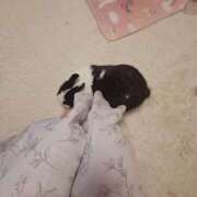 ヒメ日記 2025/09/07 15:50 投稿 ひなこ 南大阪回春性感エステオールスターズ