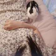 ヒメ日記 2025/10/30 19:21 投稿 ひなこ 南大阪回春性感エステオールスターズ