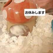 ヒメ日記 2025/11/20 15:56 投稿 ひなこ 南大阪回春性感エステオールスターズ