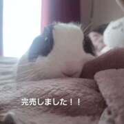 ヒメ日記 2025/11/25 20:56 投稿 ひなこ 南大阪回春性感エステオールスターズ