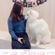 ヒメ日記 2025/10/11 14:50 投稿 麗日　奏【NH】 アヌエ＠日暮里