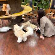 麗日　奏【NH】 ちょっとした呟きが来店のきっかけに…！ アヌエ＠日暮里