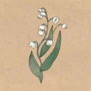 ヒメ日記 2025/06/04 12:31 投稿 すずらん おじさま大好き素人オナクラ谷九店