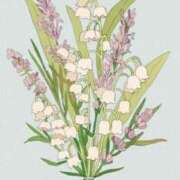 ヒメ日記 2025/06/06 12:01 投稿 すずらん おじさま大好き素人オナクラ谷九店