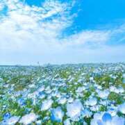 ヒメ日記 2025/06/28 21:19 投稿 すずらん おじさま大好き素人オナクラ谷九店