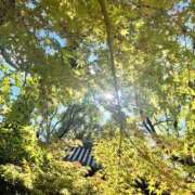 すずらん 赤くなくなっても🍁 おじさま大好き素人オナクラ谷九店