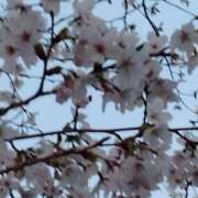 まり やばい 即アポ奥さん〜名古屋店〜