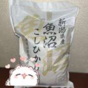 ヒメ日記 2025/02/20 16:30 投稿 はな 渋谷平成女学園