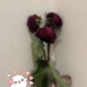 ヒメ日記 2025/05/27 11:15 投稿 はな 渋谷平成女学園