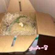 ヒメ日記 2025/07/20 08:40 投稿 はな 渋谷平成女学園