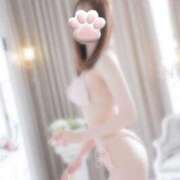 ヒメ日記 2026/04/22 11:25 投稿 はな 渋谷平成女学園