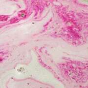 ヒメ日記 2025/01/26 20:18 投稿 みほ Mrs Sirena（ミセスシレナ）