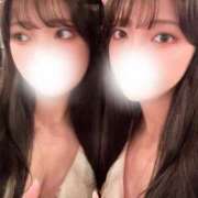 ヒメ日記 2024/12/26 11:31 投稿 ユリ シャングリラ