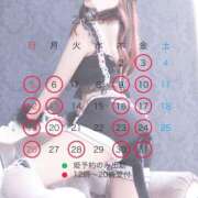 ヒメ日記 2024/12/29 11:16 投稿 ユリ シャングリラ