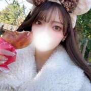 ヒメ日記 2025/03/22 11:15 投稿 ユリ シャングリラ