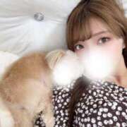 ヒメ日記 2025/06/15 11:13 投稿 ユリ シャングリラ