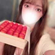 ヒメ日記 2025/07/02 12:00 投稿 ユリ シャングリラ