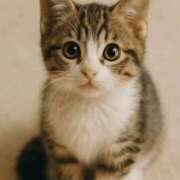 ヒメ日記 2025/11/16 21:23 投稿 むぎ♪ プリティーガール