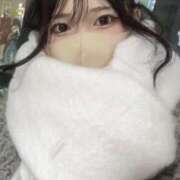 リョウカ 2026! マテリアル