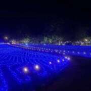 ヒメ日記 2025/11/04 18:48 投稿 あおい 宮城大崎古川ちゃんこ