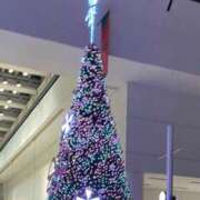 ヒメ日記 2024/12/24 21:03 投稿 ひとみ 沼津人妻花壇