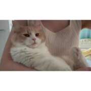 ヒメ日記 2025/07/22 09:32 投稿 うらら 川崎ソープ　クリスタル京都南町